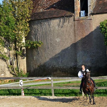 Chateau Des Noces Bazoges-en-Pareds Exteriér fotografie