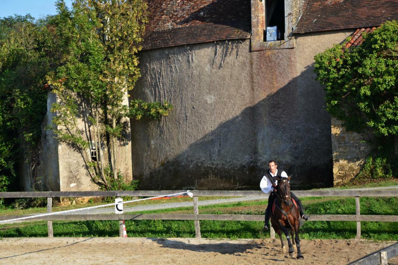 Chateau Des Noces Bazoges-en-Pareds Exteriér fotografie